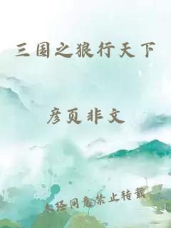 三國之狼行天下
