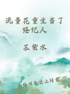 流量花重生當(dāng)了經(jīng)紀(jì)人
