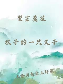 望塵莫及