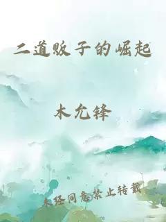 二道販子的崛起