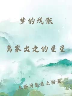 夢(mèng)的殘骸