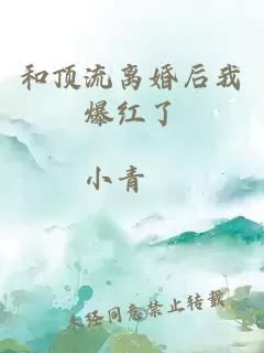 和頂流離婚后我爆紅了