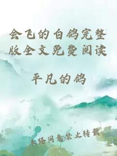 會飛的白鴿完整版全文免費閱讀