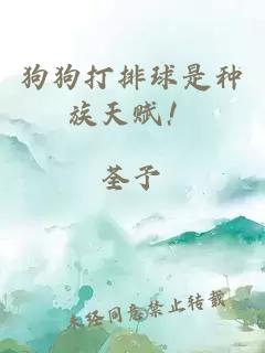 狗狗打排球是種族天賦！
