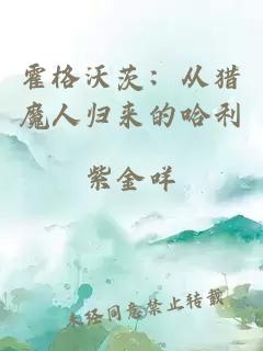 霍格沃茨：從獵魔人歸來的哈利