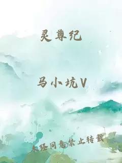 靈尊紀(jì)