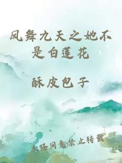 鳳舞九天之她不是白蓮花