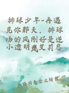 排球少年-再遇見你那天，排球場的風剛好是逆風