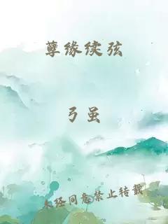 孽緣續(xù)弦