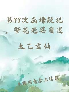 第99次成嫌疑犯，警花老婆崩潰