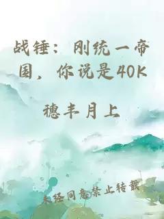 戰(zhàn)錘：剛統(tǒng)一帝國，你說是40K