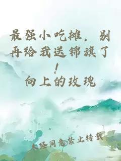 最強小吃攤，別再給我送錦旗了！