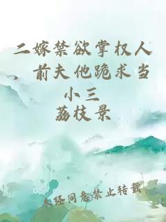 二嫁禁欲掌權(quán)人，前夫他跪求當(dāng)小三