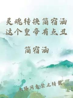 靈魂轉(zhuǎn)換簡宿涵這個皇帝有點丑