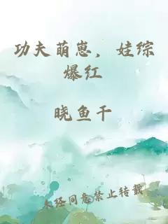 功夫萌崽，娃綜爆紅