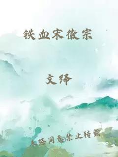 鐵血宋徽宗
