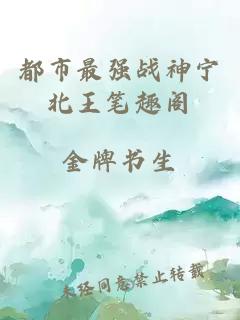 都市最強(qiáng)戰(zhàn)神寧北王筆趣閣