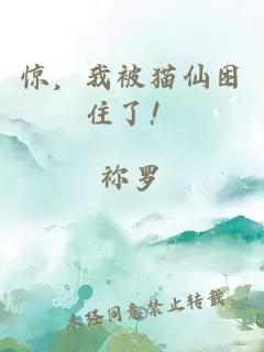 驚，我被貓仙困住了！