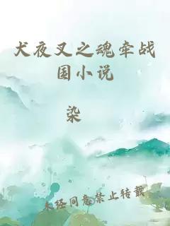 犬夜叉之魂牽戰(zhàn)國小說