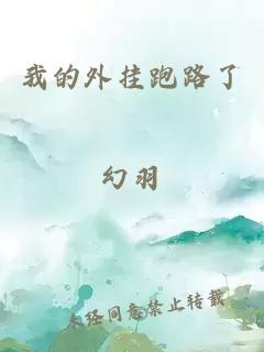 我的外掛跑路了