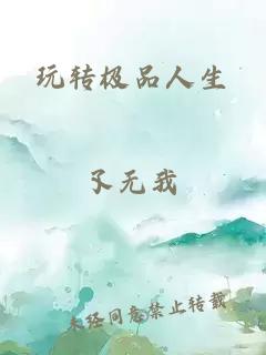 玩轉(zhuǎn)極品人生