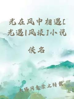 光在風(fēng)中相遇[光遇|風(fēng)旅]小說