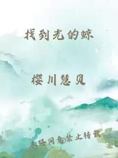 找到光的鯨