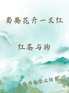 蜀葵花開一丈紅