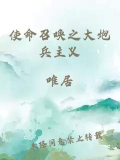使命召喚之大炮兵主義