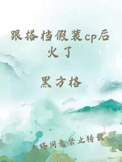 跟搭檔假裝cp后火了