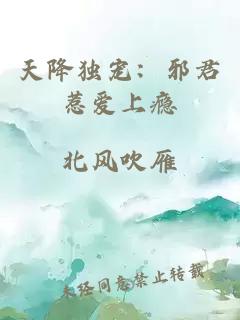 天降獨寵：邪君惹愛上癮