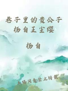 巷子里的貴公子楊自王塵纓
