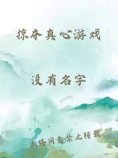 掠奪真心游戲
