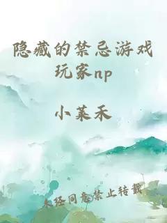 隱藏的禁忌游戲玩家np