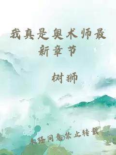 我真是奧術(shù)師最新章節(jié)