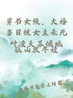 穿書女頻，大婚當(dāng)日被女主殺死葉凌天蘇傾城
