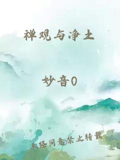 禪觀與凈土