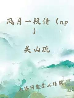 風月一段情（np）