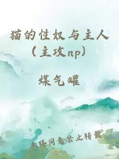 貓的性奴與主人（主攻np）