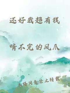 還好我超有錢