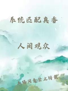 系統(tǒng)匹配真香