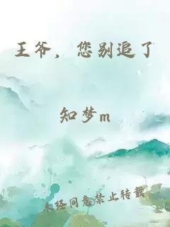 王爺，您別追了