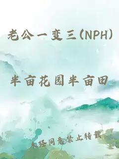 老公一變?nèi)?NPH)