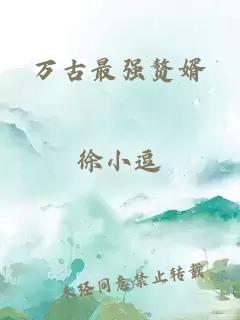 萬(wàn)古最強(qiáng)贅婿