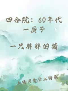 四合院：60年代一廚子