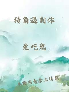 轉(zhuǎn)角遇到你