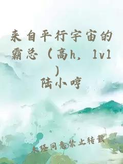 來(lái)自平行宇宙的霸總（高h(yuǎn)，1v1）