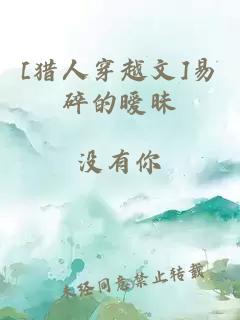 [獵人穿越文]易碎的曖昧