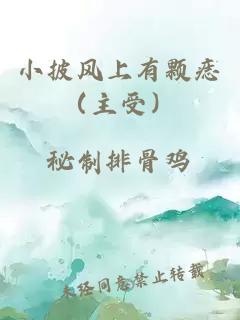 小披風(fēng)上有顆痣（主受）