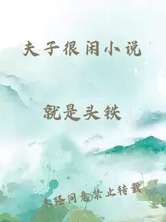 夫子很閑小說(shuō)